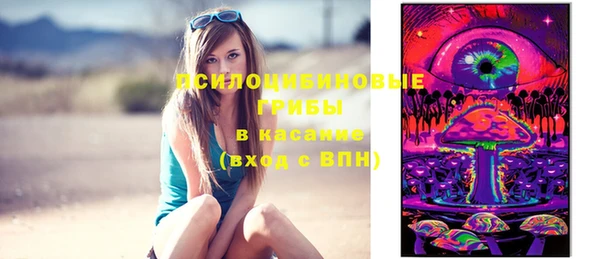 хмурый Алексеевка