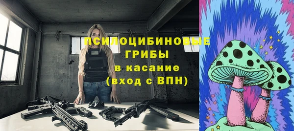 хмурый Алексеевка